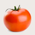 Tomato S