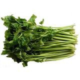 Celery