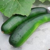 Zucchini