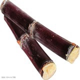 Sugarcane