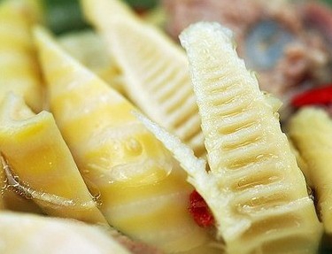 A Kind Of Edible Bamboo Shoot