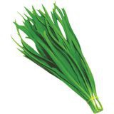 Leek