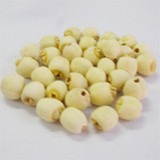 Lotus Seeds