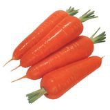 Carrot