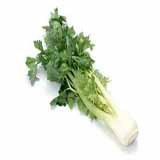 Water Celery