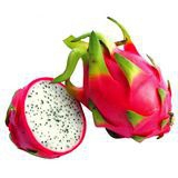 Dragon Fruit