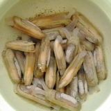 Razor Clam