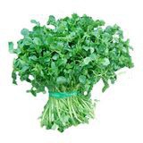 Watercress