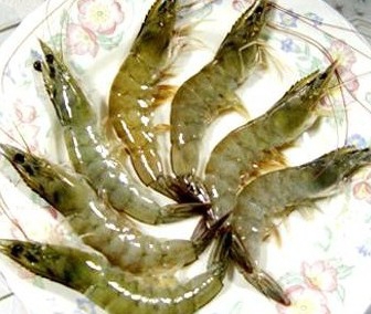 Green Shrimp