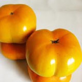 Persimmon