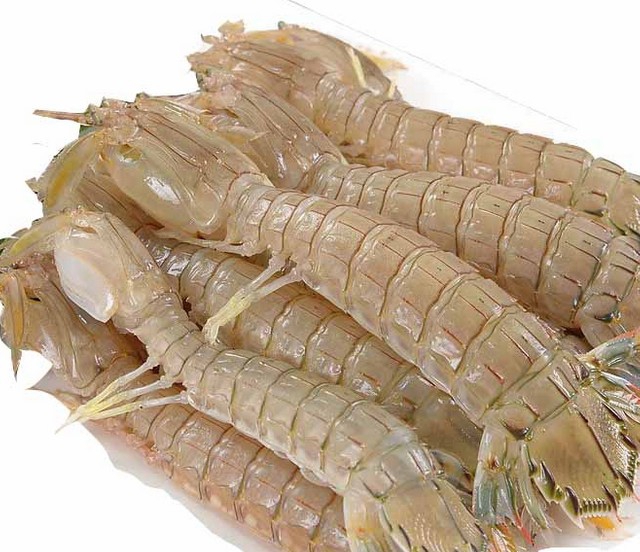 Skin Shrimp