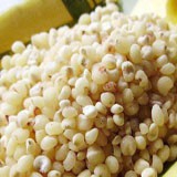 Sorghum Rice