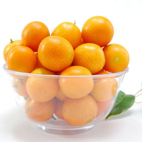 Kumquat S