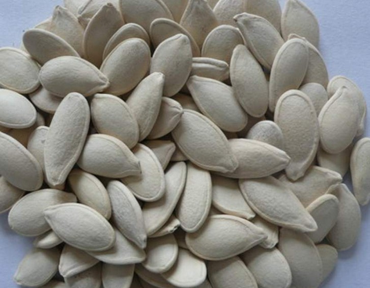 Pumpkin Seeds