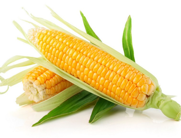 Corn