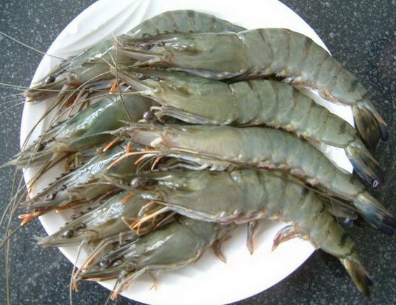 Prawn