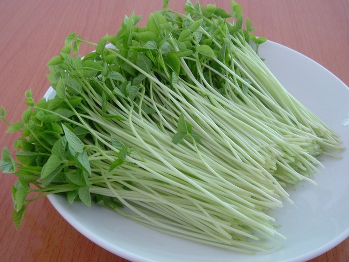 Bean Sprouts