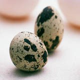 Quail Eggs