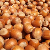 Hazelnut