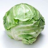 Cabbage S