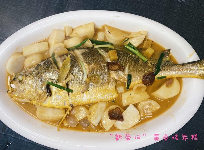 Yellow Croaker and Rice Cake (An Affordable Homemade Dish of Over 10,000 Yuan)