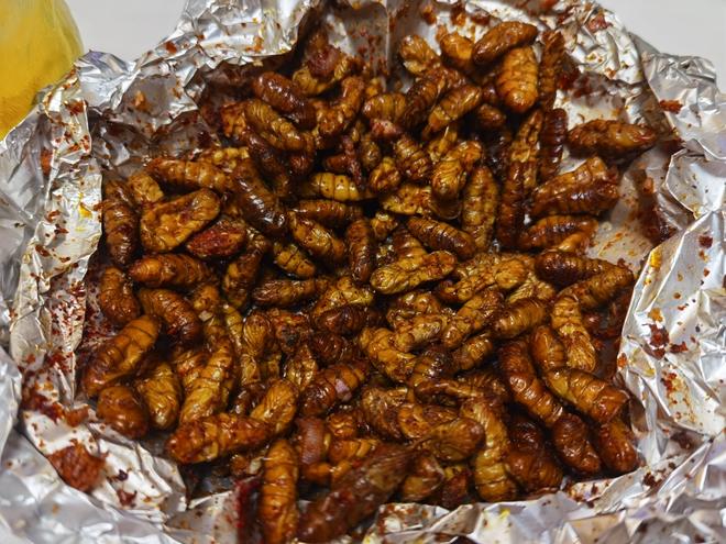 Soulful Late-Night Snack / Bar Treat: Air Fryer Cicada Larvae