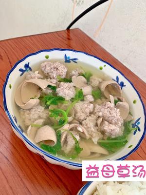 Motherwort Pork Kidney Soup