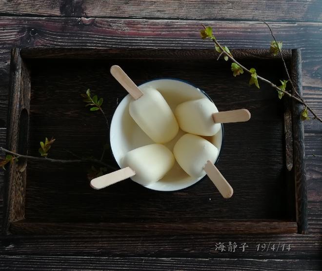 Rich Sweetened Condensed Milk Ice Cream