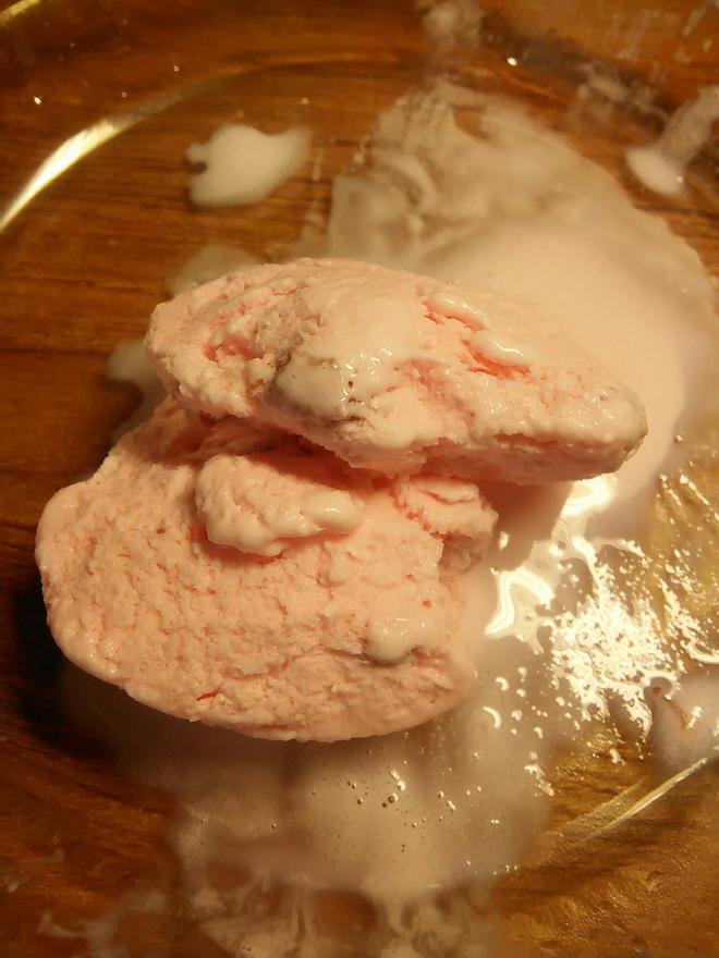 Ice Cream Made with Ice Cream Powder