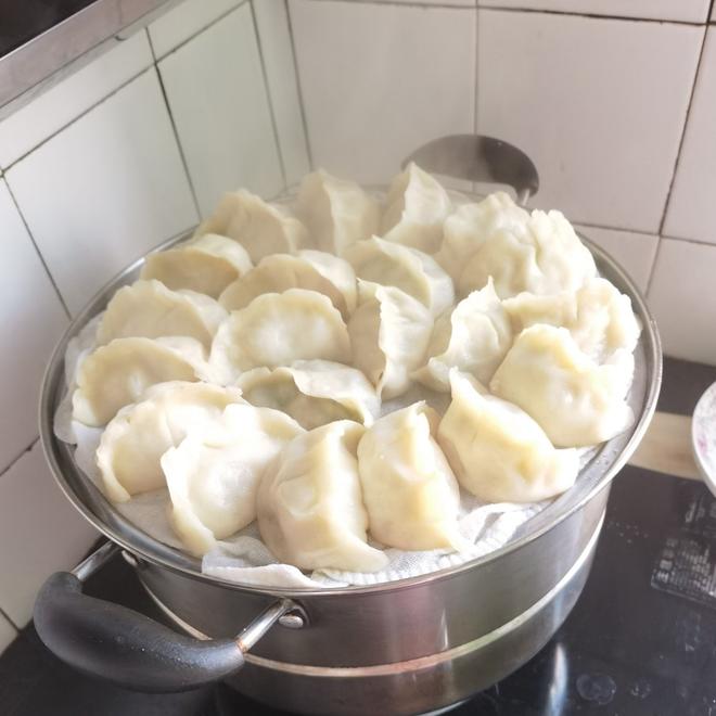 Pork and Cabbage Steamed Dumplings