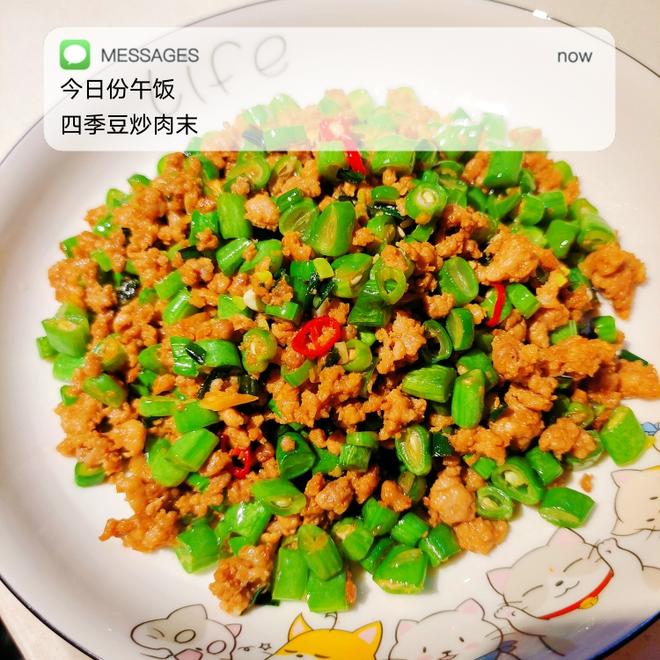 Stir-Fried Minced Pork with Green Beans