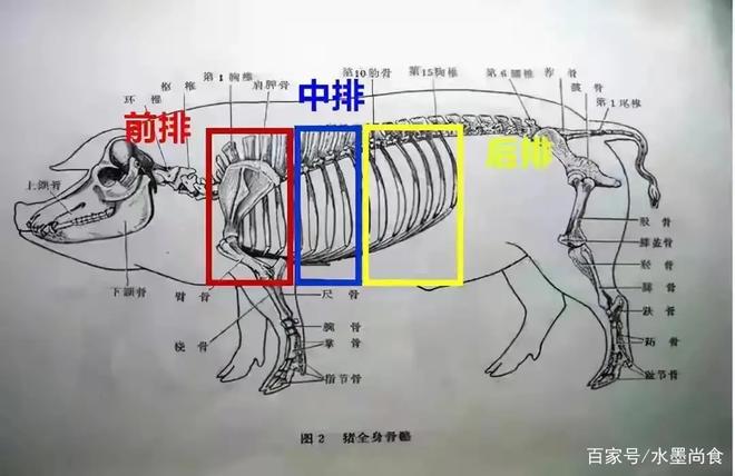 A Guide to Pork Bone Cuts and Cooking Methods (From Baidu)