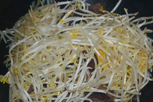 Add the bean sprouts and half a bowl of water, then cover the pan.