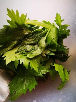 Wash and prepare the celery leaves.