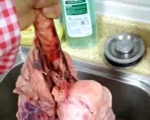 Clean the pig lung thoroughly by filling it with water and cutting it into pieces!