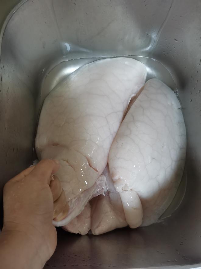 How to Clean Pig Lungs