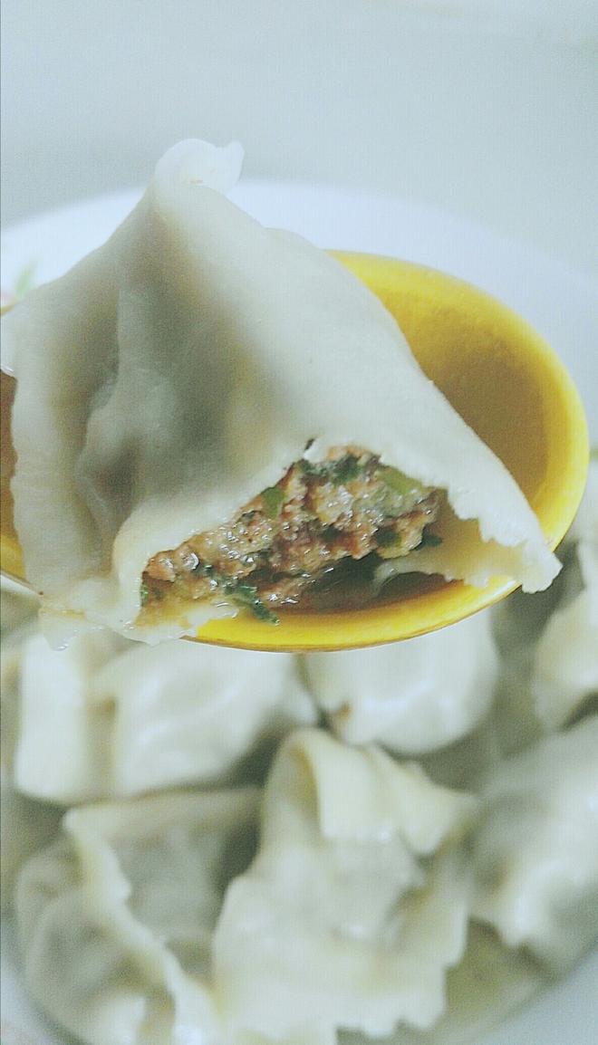 *Never Enough Celery Beef Dumplings