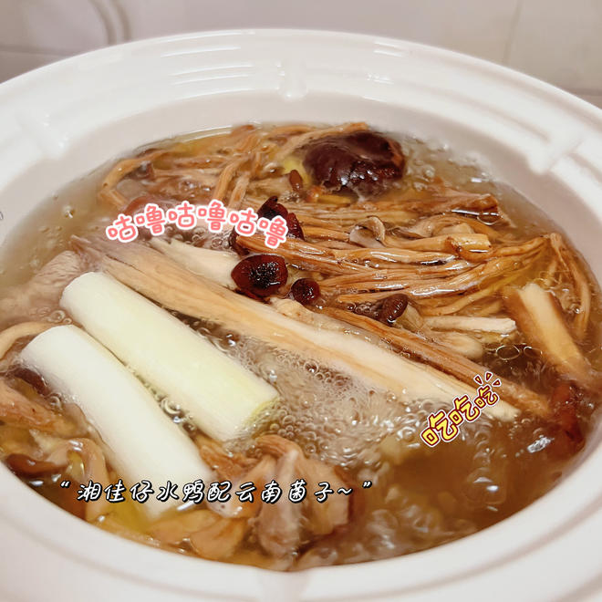 Yunnan Mushroom and Old Duck Soup