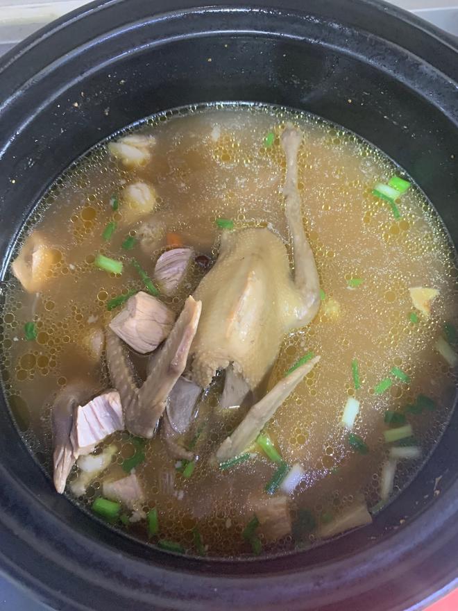 Pigeon and Lean Meat Soup