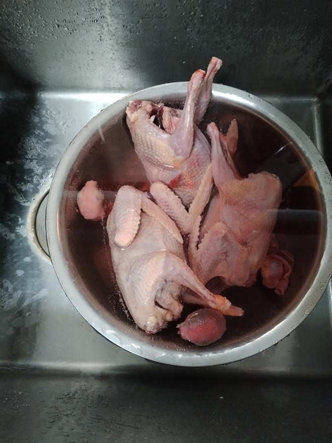 Cleansed Stewed Pigeon