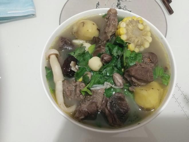 Pigeon Hotpot