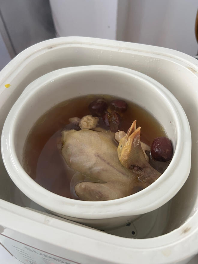 Red Ginseng and Ejiao Pigeon Soup