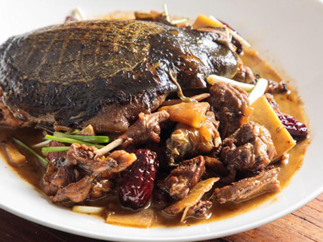 Braised Turtle with Pigeon: Unique Spring Health Remedy to Nourish Liver, Boost Energy, and Enhance Immunity!