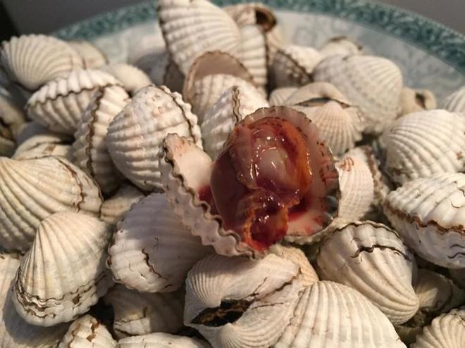 Blanched Blood Clams & Chilled Blood Clams Salada