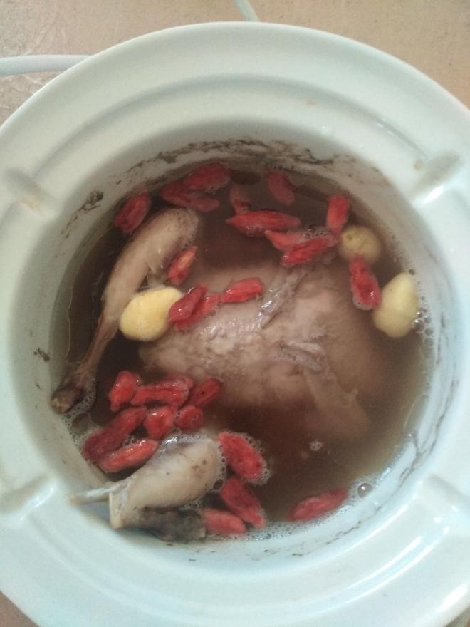 Single Serving Goji Berry and Ginkgo Nut Quail Soup