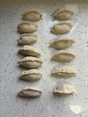 Shape the dumplings as desired.