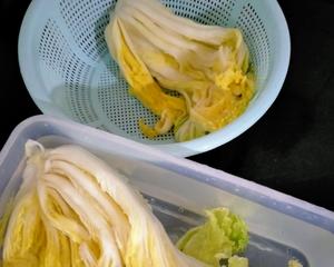 After marination, remove the cabbage, rinse, and wring out the excess water three times. Taste it, and if it’s too salty, soak in cold boiled water briefly, then wring out again and set aside. ❗ Wash the other ingredients as well.