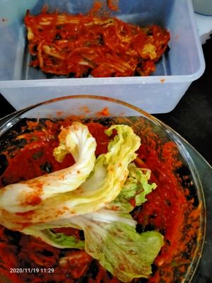 Wear gloves and spread the sauce evenly onto the cabbage, ensuring every layer and corner is covered.