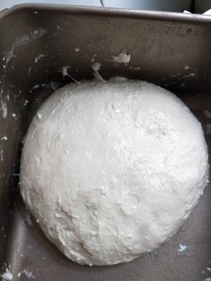 Fold the dough back and forth for the first time, smooth side up, and let it ferment for one hour.